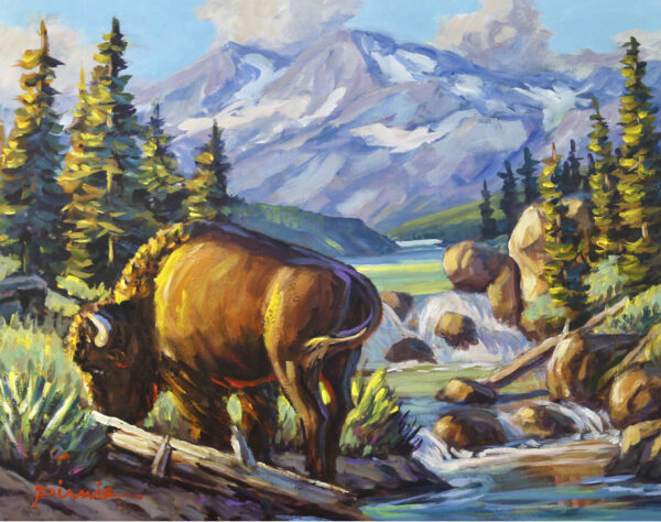 “Bison Country” by Larry Pirnie