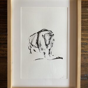 Bison 2